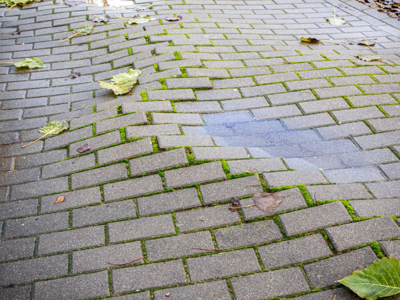 Fall Pavers Repairs